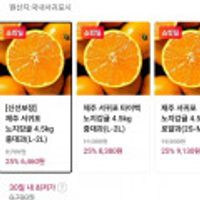 제주 서귀포 노지감귤 4.5kg 중대과