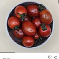 농협 스테비아 방울 토마토 2kg