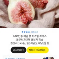 GAP인증 해남 꿀무화과 2팩 900G내외