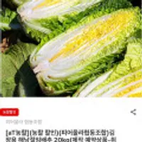 김장용 해남절임배추 20kg