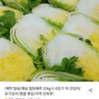 해남 절임배추 20kg 6~8포기(예약발송)