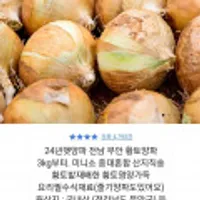 24년 햇양파 3kg