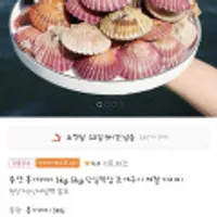 통영 홍가리비 3kg 60미 내외