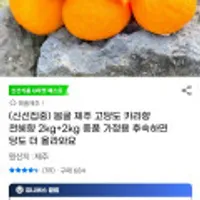 제주 고당도 카라향 4kg