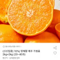 천혜향 제주 하우스 가정용 4kg