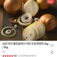 25년 무안 황토밭에서 자란 조생 햇양파 3kg