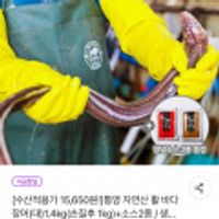 통영 자연산 활바다장어(대)1.4kg+소스2종
