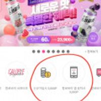 프로틴 스파클링 사전예약 자몽,포도 24캔