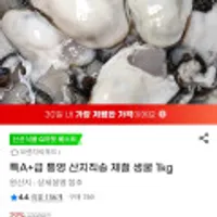 특A+급 통영 산지직송 제철 생굴 1kg
