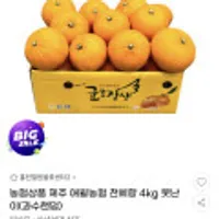 제주 애월농협 천혜향 못난이 4kg