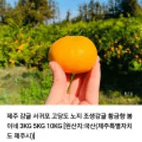 제주 감귤 서귀포 고당도 노지 조생감귤 3kg