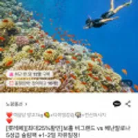 보홀 비그랜드 리조트 3박5일 자유일정포함 패키지