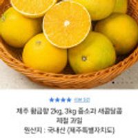제주 황금향 2kg 중소과