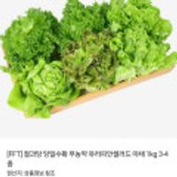 당일수확 무농약 유러피안샐러드 야채 1kg 3-4종