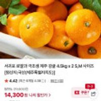 서귀포 로얄과 극조생 제주 감귤 4.5kg x 2