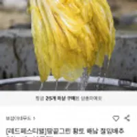 국내산 해남 절임배추 20kg(8~10포기)