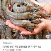 신안 생물 흰다리새우 1kg 30-40미 내외