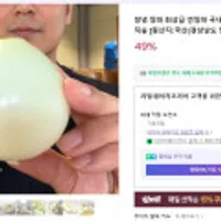 창녕 양파 최상급 깐양파 국내산 만생종 햇양파 산지직송