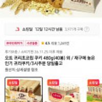 오트 귀리초코칩 쿠키 480g(40봉)