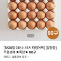 무항생제 특란 60구