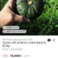 제주 보우짱 미니밤호박 단호박 2kg 로얄과