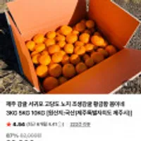 제주 감귤 서귀포 고당도 조생감귤 10kg