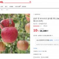 23년 첫 부사사과 실속형 햇 2.5kg 중소과 13-15과 가정용