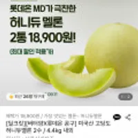 미국산 고당도 허니듀멜론 2수 4.4kg 내외