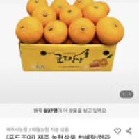 제주농협 천혜향 로얄과 4kg