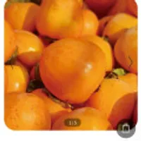 영암 대봉감 홍시 곶감용 4.5kg