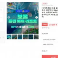 보홀 돌핀베이 세미팩 vs 보홀 Big4 포함 자유여행 보홀세미팩