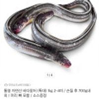 통영 바다장어(특대)1kg 2-4미/손질 후 700g 내외/머리,뼈포함/소스증정