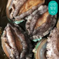 완도 참 전복 왕특대활전복 8~9미 1kg (산소포장)