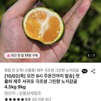 제주 서귀포 극조생 그린향 노지감귤 4.5kg