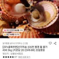 통영 활 홍가리비 산지직송 3kg