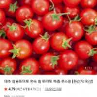 대추 방울토마토(1~3번과) 1kg