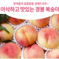 아삭하고 단단한 경봉 딱딱이 복숭아 3kg내외(12-15과)