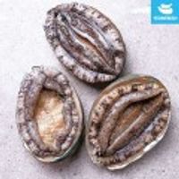 완도 활전복 1kg 9-10미