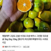 제철제주 고당도 감귤 서귀포 조생 하우스 그린향 극조생귤 3kg