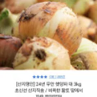 24년 무안 햇양파 3kg