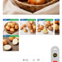 무안 황토 햇양파5kg