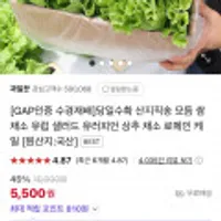 당일수확 산지직송 유럽 샐러드 모듬 쌈채소 1kg