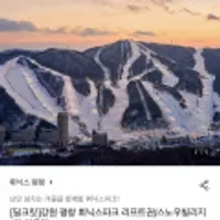 강원 평창 휘닉스파크 주중 스노우빌리지 1인권 외