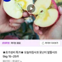 오늘아침사과 못난이 알뜰사과 5kg 15~25과