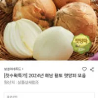 2024년 해남 황토 햇양파특소 3kg