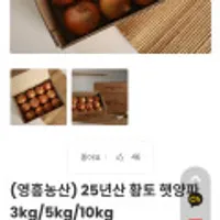 25년산 황토 햇양파3KG