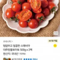 스테비아 대추방울 토마토500g 2팩 4팩