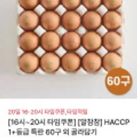 무항생제 특란 60구