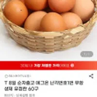 에그온,배추김치,스파클,엑셀런트,사조참치,홍대쭈꾸미,등갈비,돈까스,고등어구이 