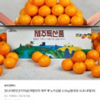 제철진미 산지직송 제주 햇 노지감귤 4.5kg L~2L